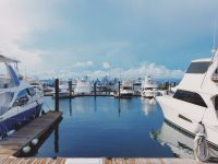 ©unsplash.com-Gb2TkSGavww